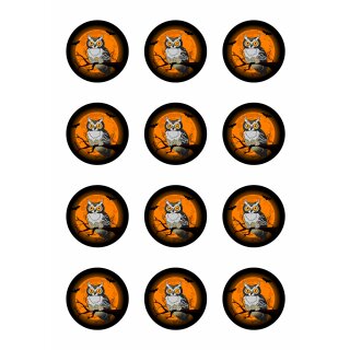 Muffinaufleger Cupcakes Muffins Halloween Zuckerpapier Eule Uhu HW01