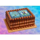 Tortenaufleger Fototorte Tortenbild Schulanfang Einschulung 1. Schultag DIN A5 SE11