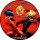 Tortenaufleger Fototorte Tortenbild Kindergeburtstag Miraculous - Geschichten von Ladybug und Cat Noir MC01 (Zuckerpapier) Rund 20 cm Ø mit Foto