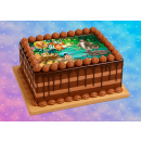 Tortenaufleger Fototorte Tortenbild Kindergeburtstag Das Dschungelbuch DD02 (Zuckerpapier)