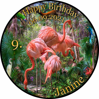 Tortenaufleger Fototorte Geburtstag Ingo der Flamingo FL01 (Zuckerpapier) Rund 14 cm Ø ohne Foto