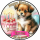 Tortenaufleger Fototorte Tortenbild Geburtstag Wolf Wölfe WÖ01 (Zuckerpapier)