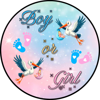 Tortenaufleger Tortendeko Fototorte Tortenbild Geburt Gender Reveal Party Boy or Girl Junge oder Mädchen 20 cm Ø GR01 (Zuckerpapier)